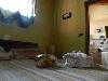 B&B L'Angolo di Rosina - suite
